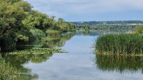 Désert ou oasis