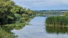 Désert ou oasis